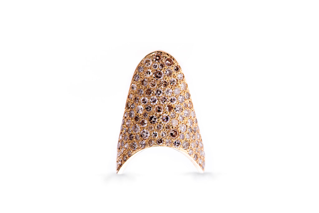 Charu Zero 3 ring