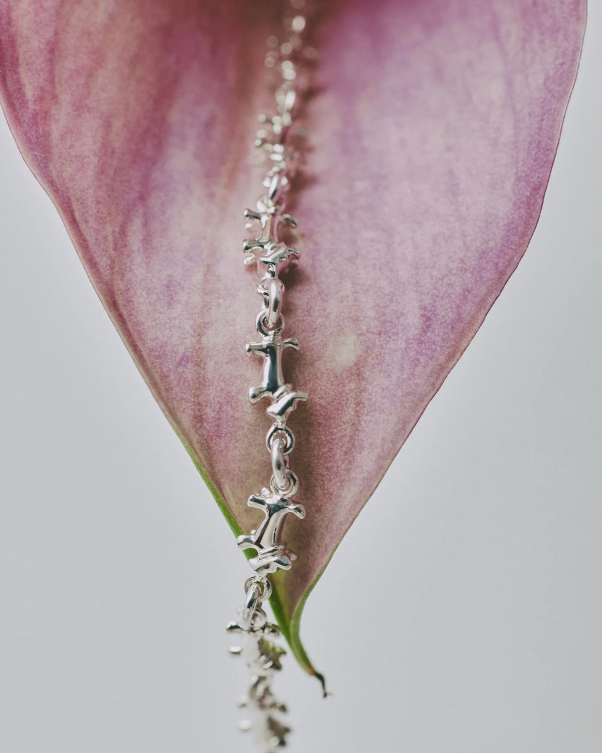 Schnauzer Chain Ring_M